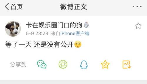 娱乐吃瓜爆料营销号